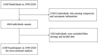 Association between sarcopenia and osteoporosis: the cross-sectional study from NHANES 1999–2020 and a bi-directions Mendelian randomization study